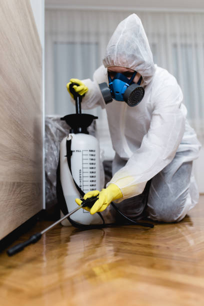 Best Fumigation Services  in Voorheesville, NY